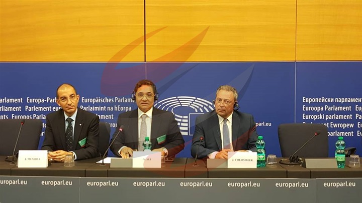 عبدالرحيم علي يجيب عن أسئلة نواب البرلمان الأوروبي