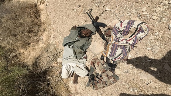 ناصر أبوزقول