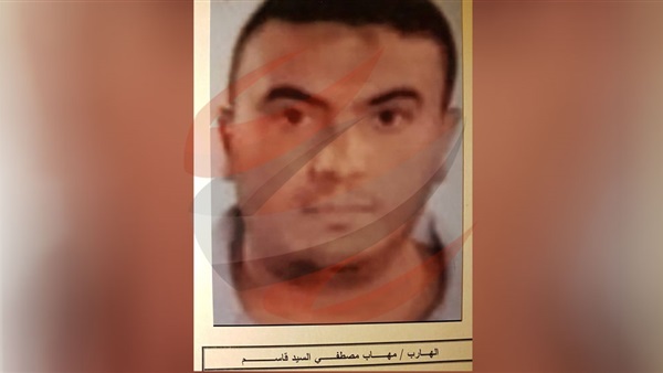 مهاب مصطفى السيد