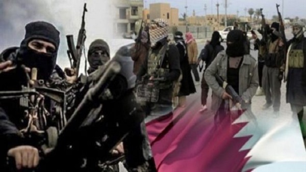 «أنصار البخاري» وقطر