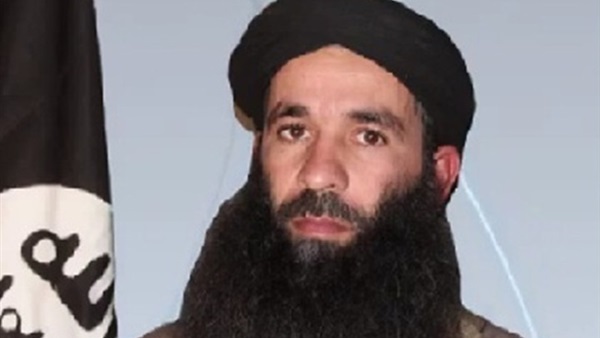 يحيى أبوالهمام