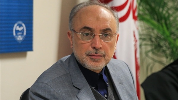 علي أكبر صالحي، رئيس