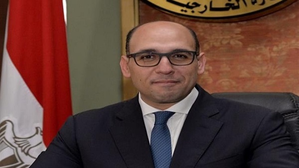 المستشار أحمد حافظ