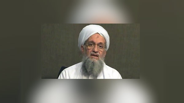 عرش «بن لادن» يُشعل