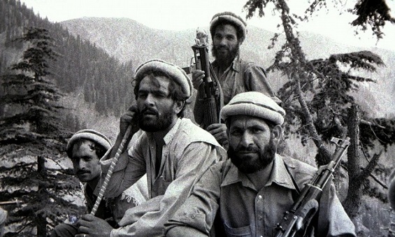 «الأفغان الجزائريون»..