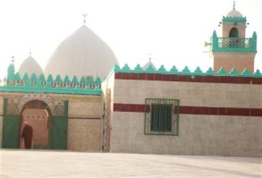 «الطريقة السنوسية»..