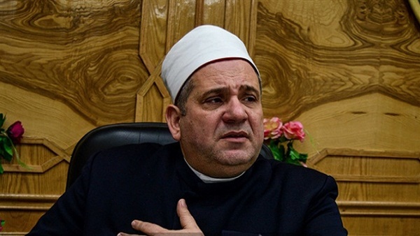 محمد أبو هاشم، نائب