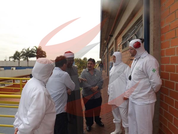 استجابة لـ«المرجع»..