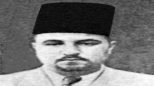  محمود عبد الحليم،