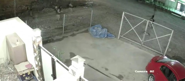 كاميرا بوابة «كِعام»