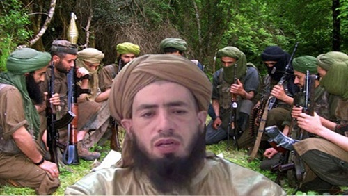 «نبيل أبو علقمة»