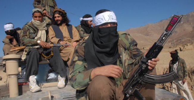 «ذاكرة المرجع» 11