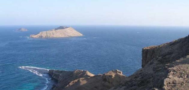 «الرمح الذهبي» يقوض