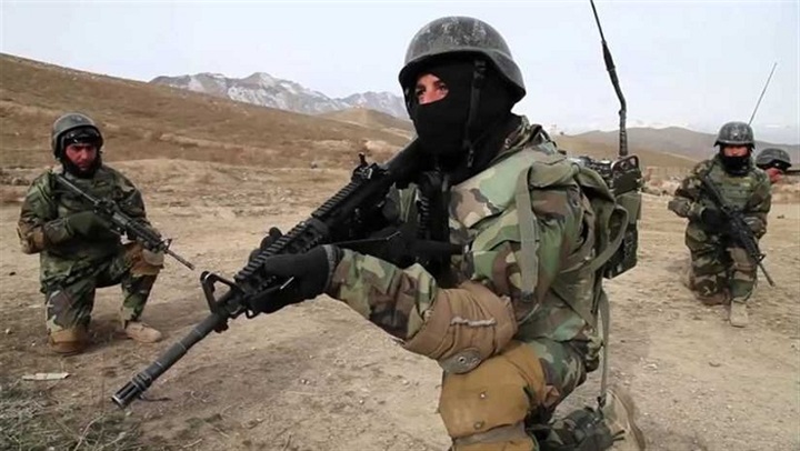 «ذاكرة المرجع» 16