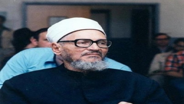 «ذاكرة المرجع» 17