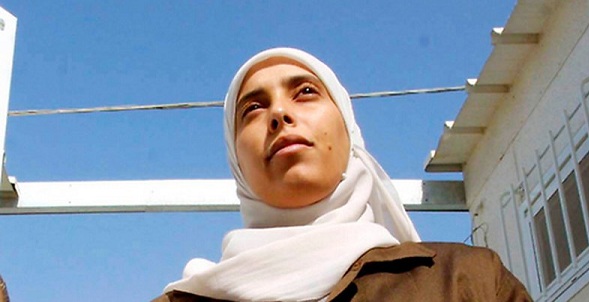 «ذاكرة المرجع» 18