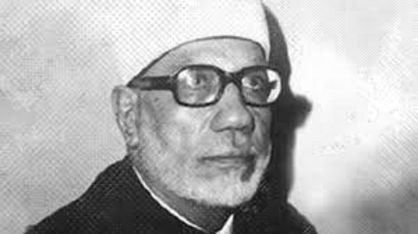 «ذاكرة الإسلام السياسي»