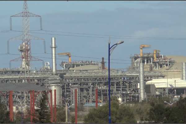 «سكيكدة».. «جنّة