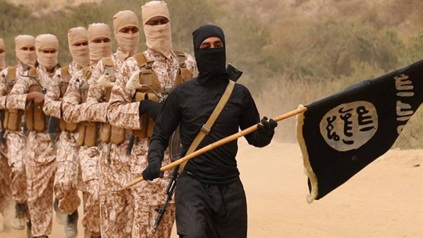 «الأفعي» تستعد للعودة..