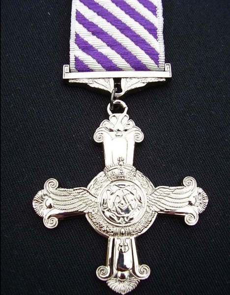 هانزوفورد.. طيار