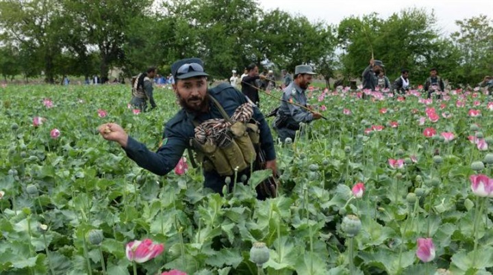 تجفيف منابع الإرهاب..