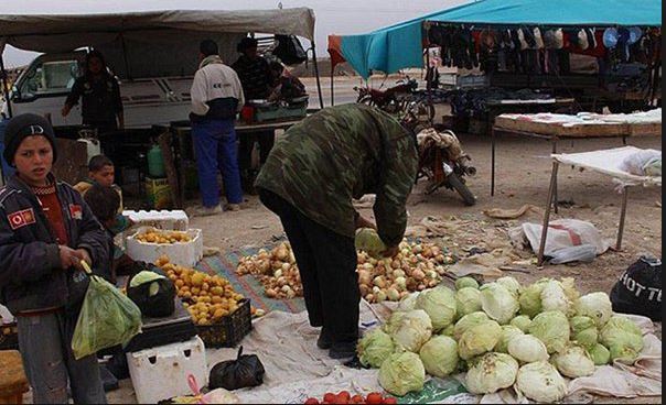 «في مثل هذا اليوم»