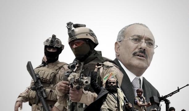 «مطاردة الفلول»..