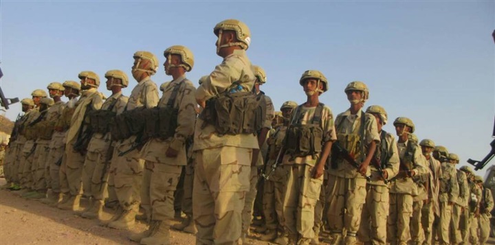 بمساندة التحالف..