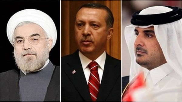 الدور القطري التركي