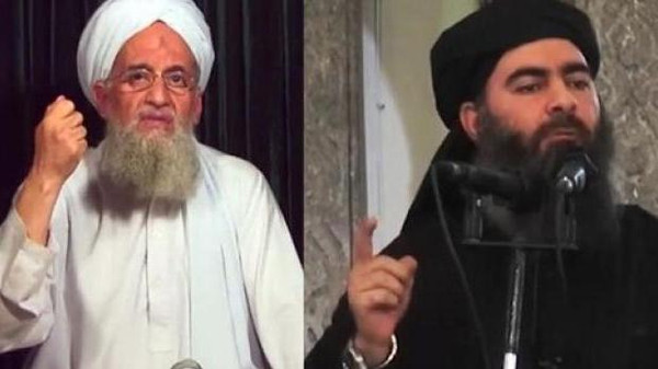 التنظيمات والجماعات