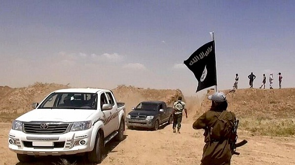 تحت مظلة الأعمال