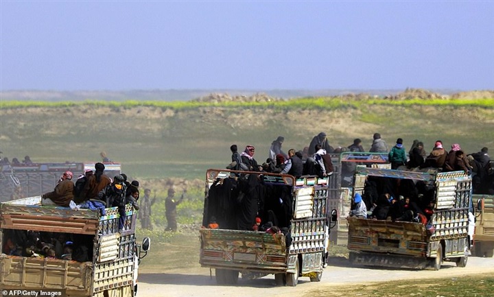 بالصور.. شاحنات تقل