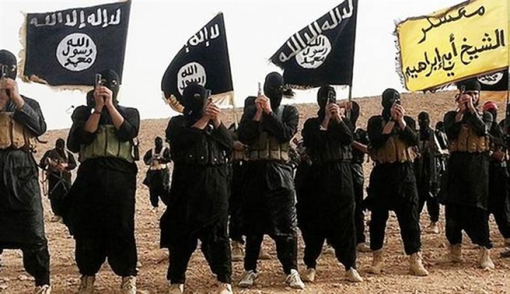 كالجرذان.. فلول «داعش»