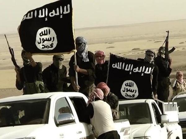 «في مثل هذا اليوم»