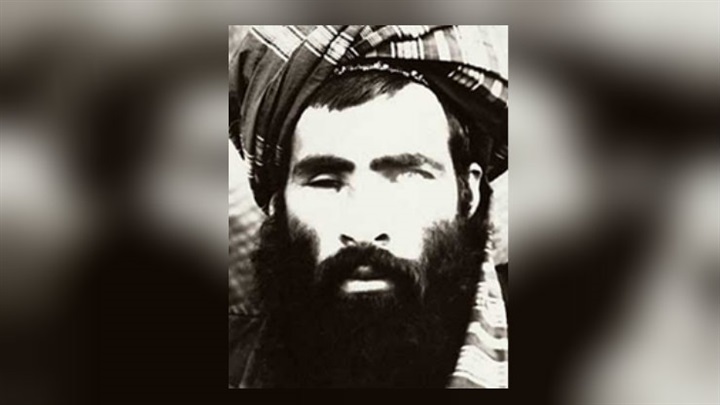 صحفية هولندية تفضح