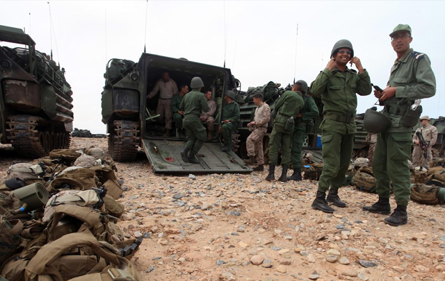 «أسد أفريقيا 19»..