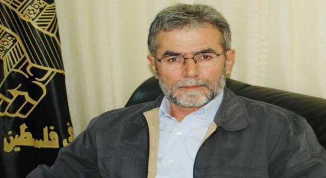 الدور القطري الخبيث