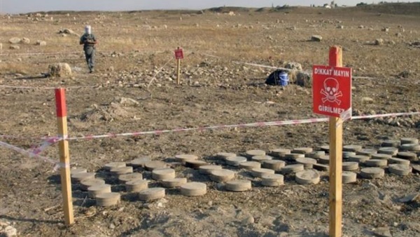 اليمن.. الألغام «حقول