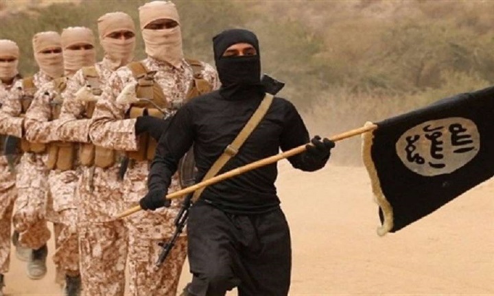 من واشنطن.. مصر تساند