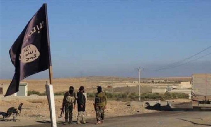 أبواب خلفية ومنطقة