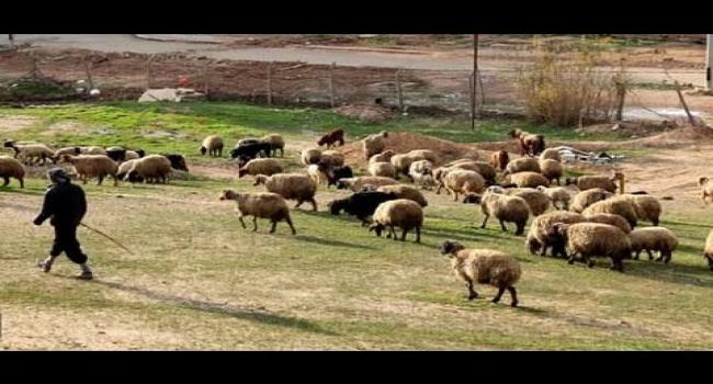 «في مثل هذا اليوم»