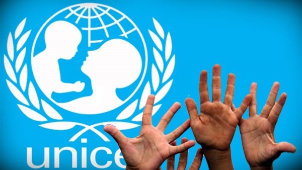 لماذا تلجأ التنظيمات