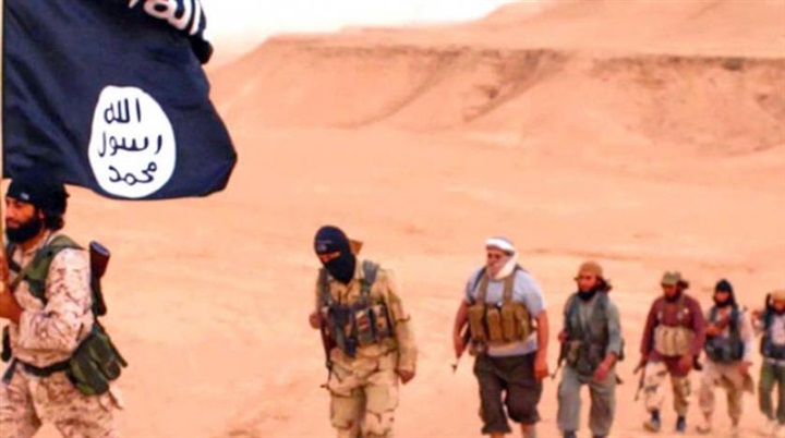 «ممثلون محترفون»..