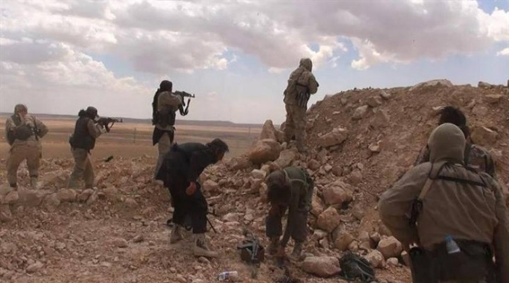 «أنصار التوحيد»..