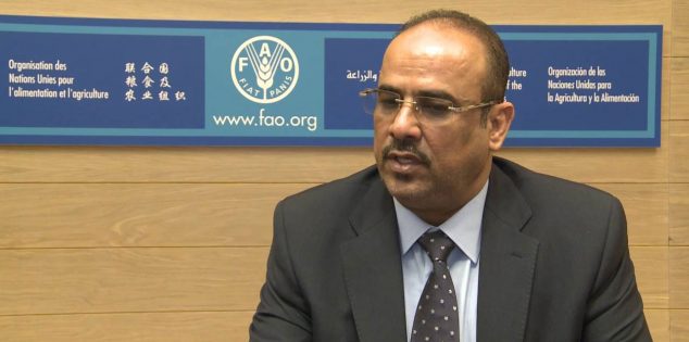  أحمد الميسري