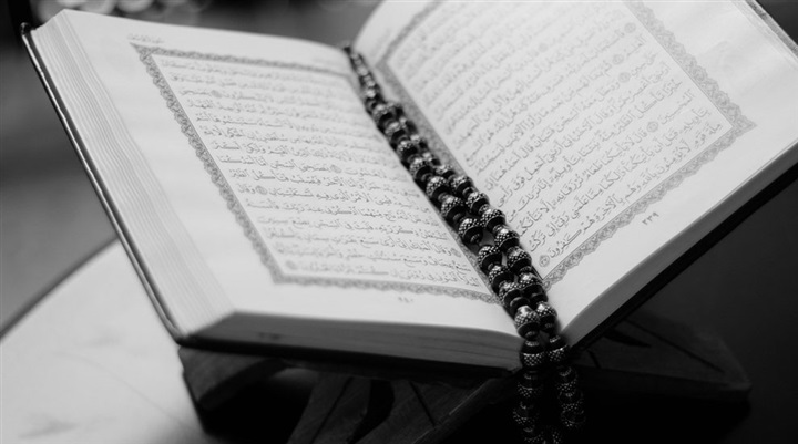 «التعليم عن بعد»..