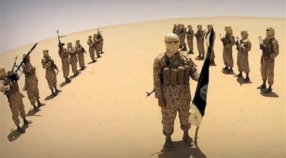 6 برامج أوروبية لتأهيل