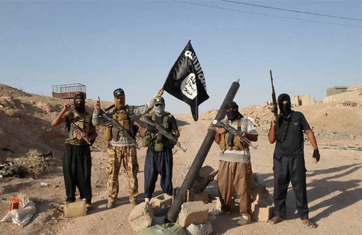 «خلايا التماسيح»..