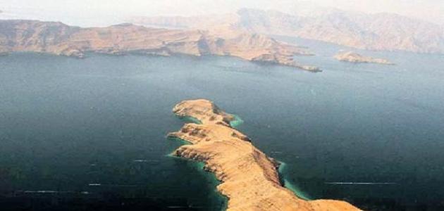 تصرفات استفزازية..