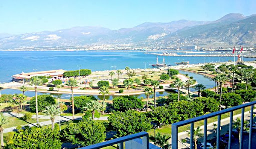 لنشرها تقريرًا أثار